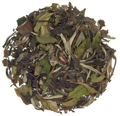 Acadia Blueberry Loose Leaf Tea from About The Cup