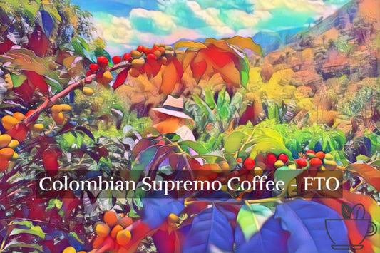 Colombia Supremo Fair Trade Organic Coffee