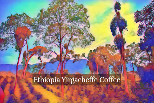Ethiopian Yirgacheffe Single Origin Coffee at About The Cup