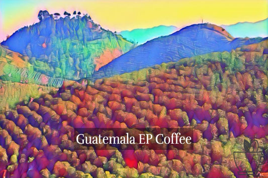 Single Origin Guatemala EP Coffee About The Cup